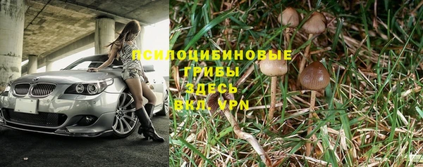 стафф Гусиноозёрск
