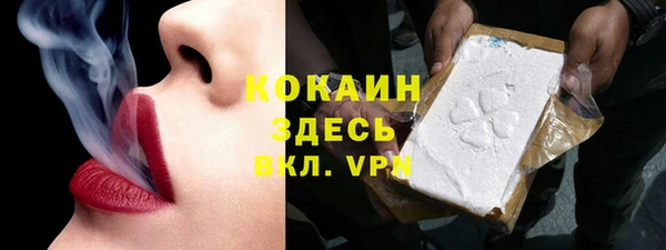 ешки Гусев