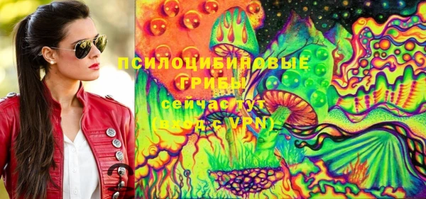 ешки Гусев