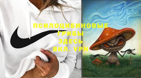 прущий лед Гусь-Хрустальный