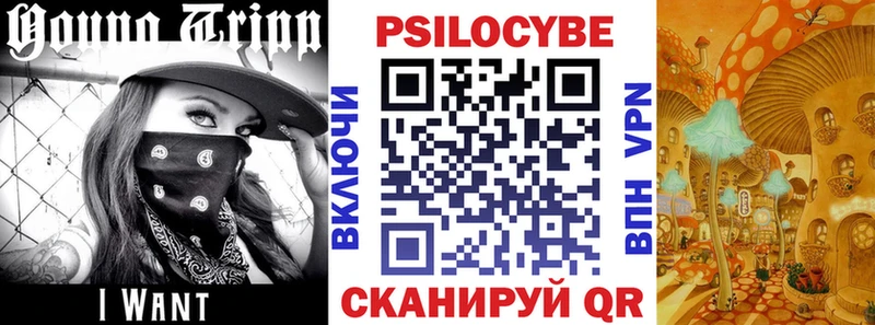 купить   Меленки  Псилоцибиновые грибы GOLDEN TEACHER 